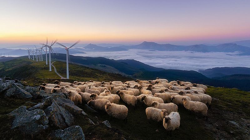 Viento fuerte en el Estrecho y con algunos intervalos de fuerte en el litoral vasco y el del sureste peninsular - Ver ahora