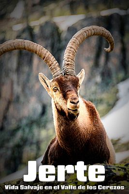 Somos Documentales - Jerte, vida salvaje en el valle de los cerezos