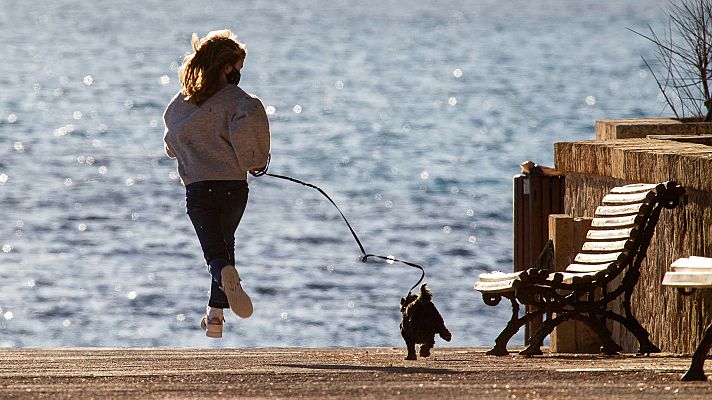 Informativo 24h - Un veterinario compone música como terapia para sus pacientes animales