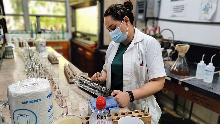 Telediario 1 - La Organización Mundial de la Salud desconoce el origen del coronavirus aunque seguirán investigando