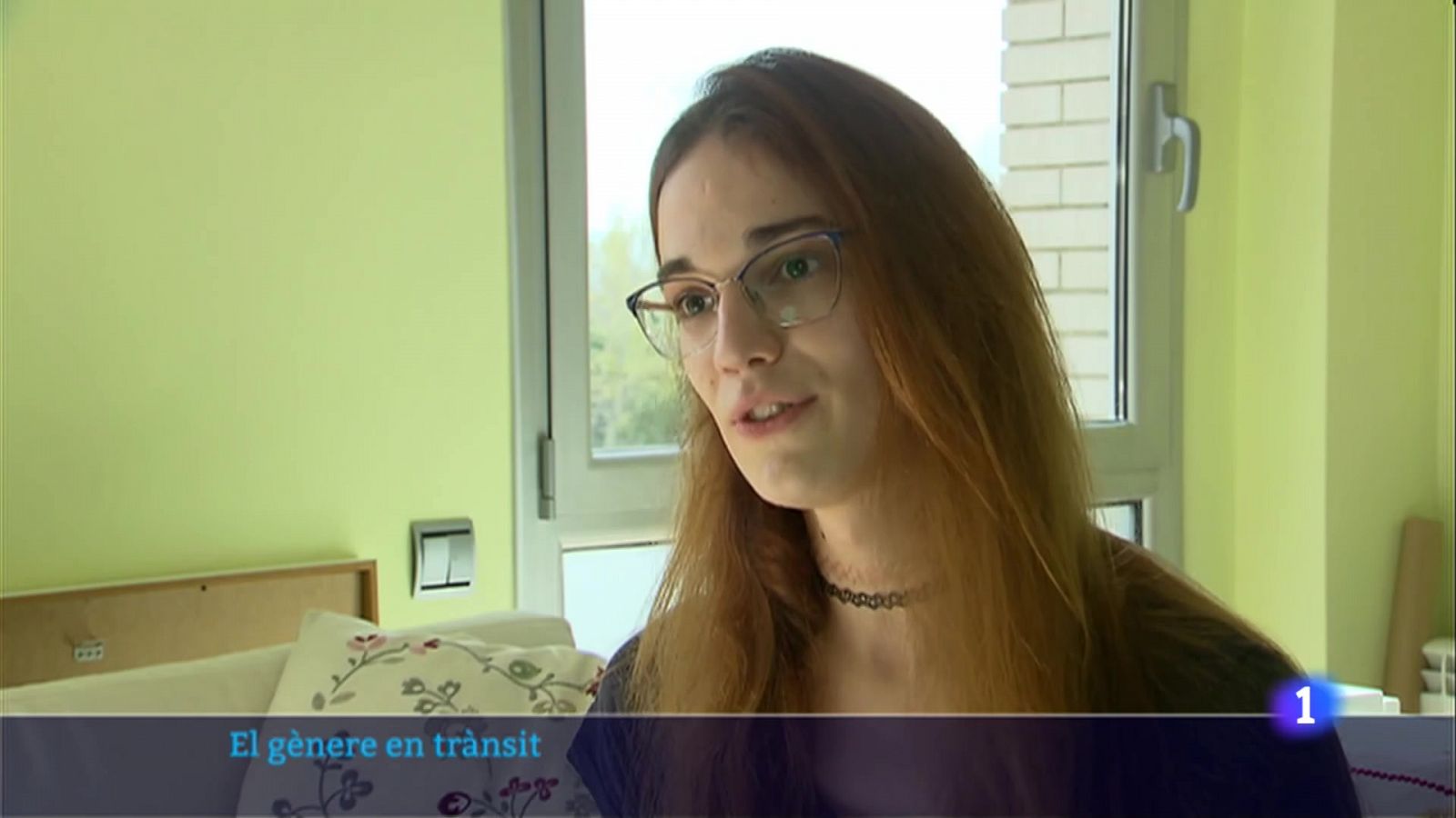 El col·lectiu reclama aprovar ja l'assignatura pendent de la llei trans