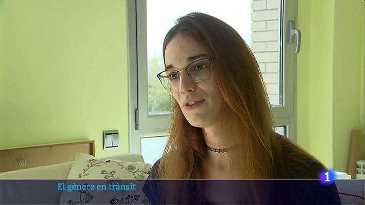 L'Informatiu - El col·lectiu reclama aprovar ja l'assignatura pendent de la llei trans