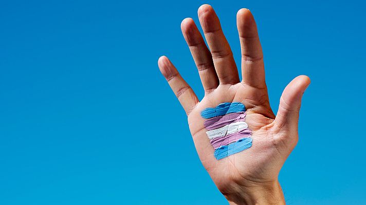 Telediario 1 - Colectivos trans reclaman mayor sensibilización por parte de la población