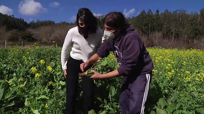 Aquí la Tierra - 01/04/21