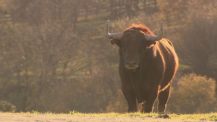 Tendido cero - Tendido cero - 03/04/21