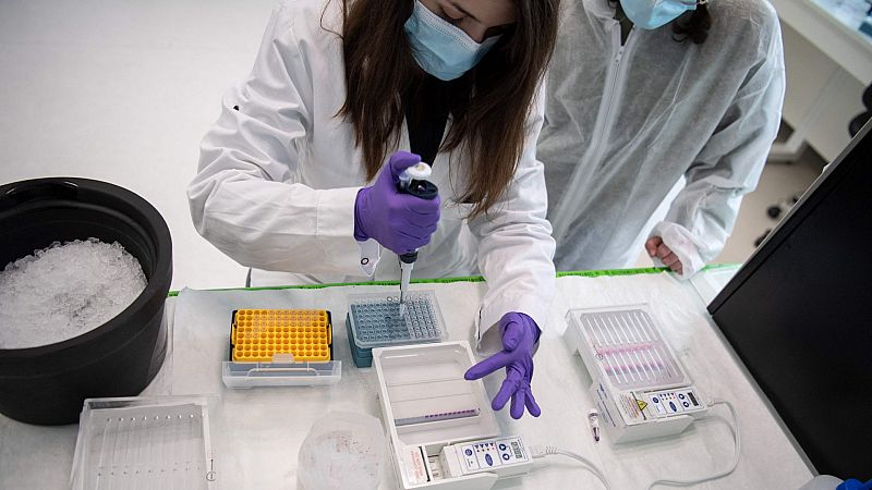 Las variantes del coronavirus que más preocupan: cuántas hay y dónde se encuentran 