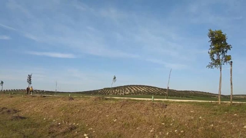 En primera persona - Vídeo de El Taller Verde - 04/04/21 - Escuchar ahora