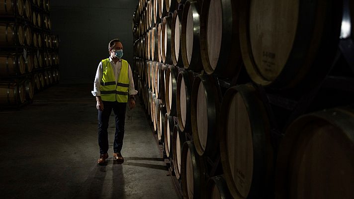 Telediario 1 - Investigan a bodegas de Valdepeñas por fraude en sus vinos