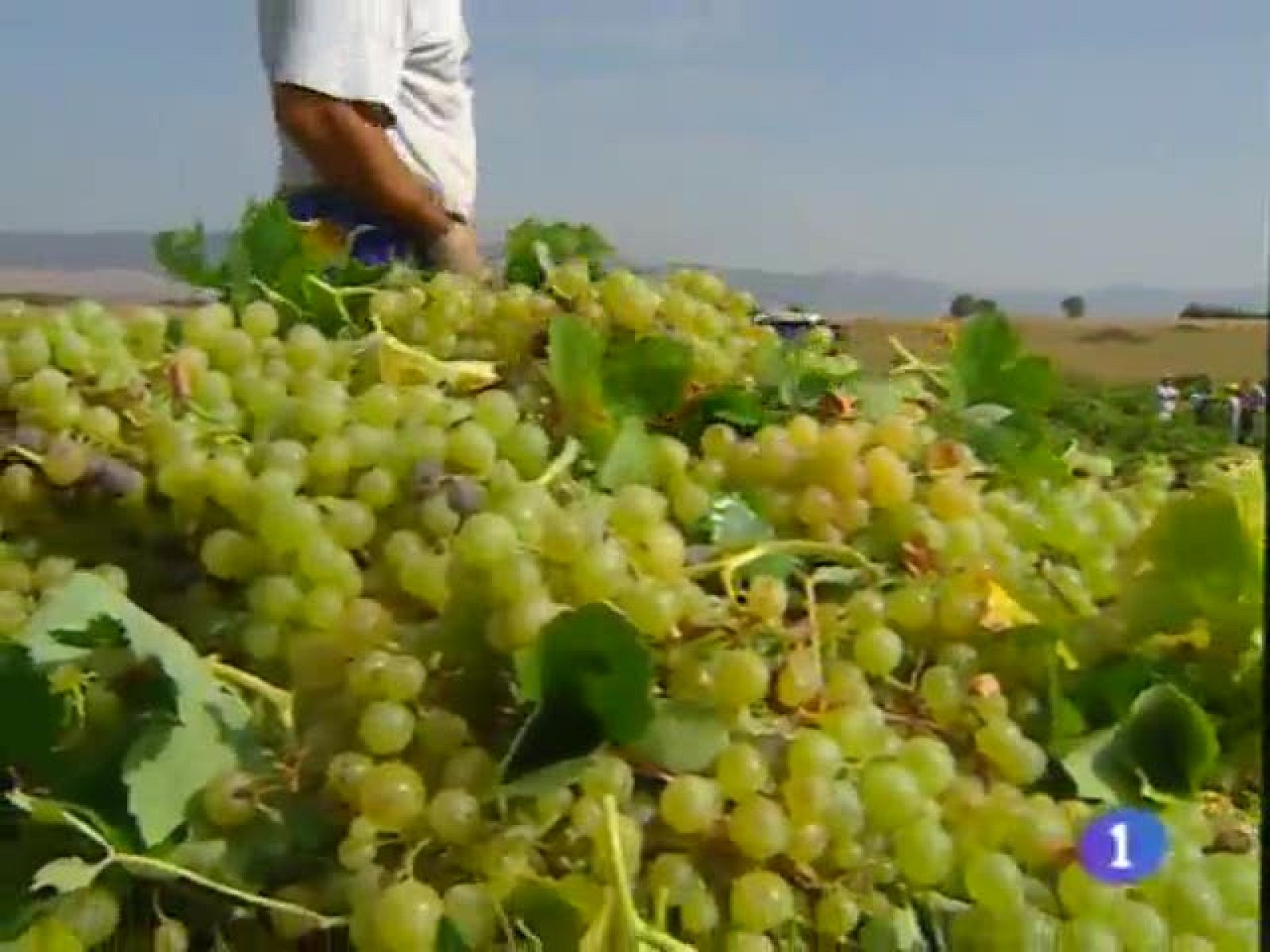 Noticias de Castilla-La Mancha: Noticias de Castilla-La Mancha - 11/09/09 | RTVE Play