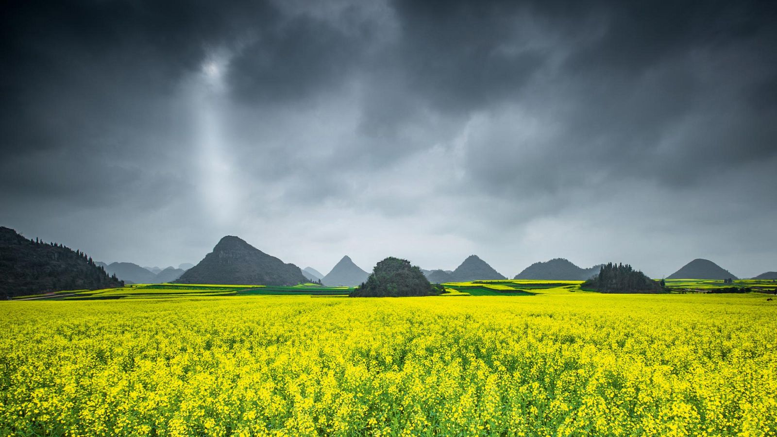 El espectáculo de la Tierra - El planeta en colores - ver ahora