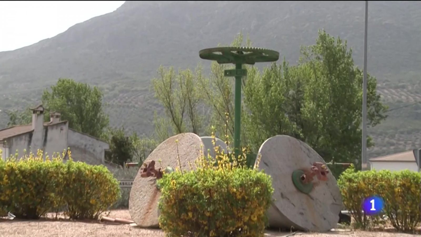 Noticias Andalucía: Aceite de aguacate en el corazón del olivar | RTVE Play