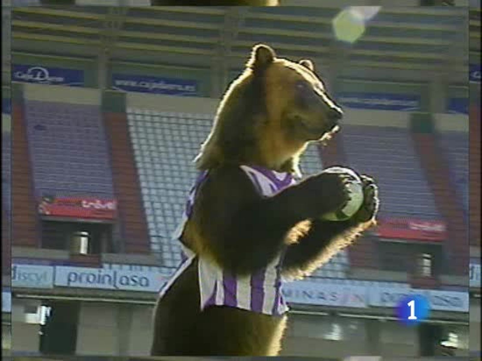 El Valladolid ficha a un oso 