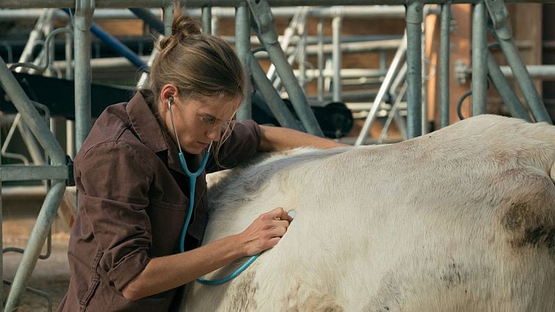 'Una veterinaria en Borgoña' llega a los cines españoles tras triunfar en Francia