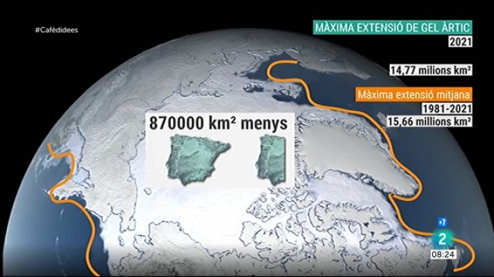 Cafè d'idees - El gel àrtic perd extensió