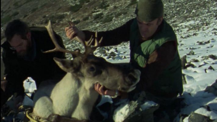 El hombre y la Tierra - Operación Caribu