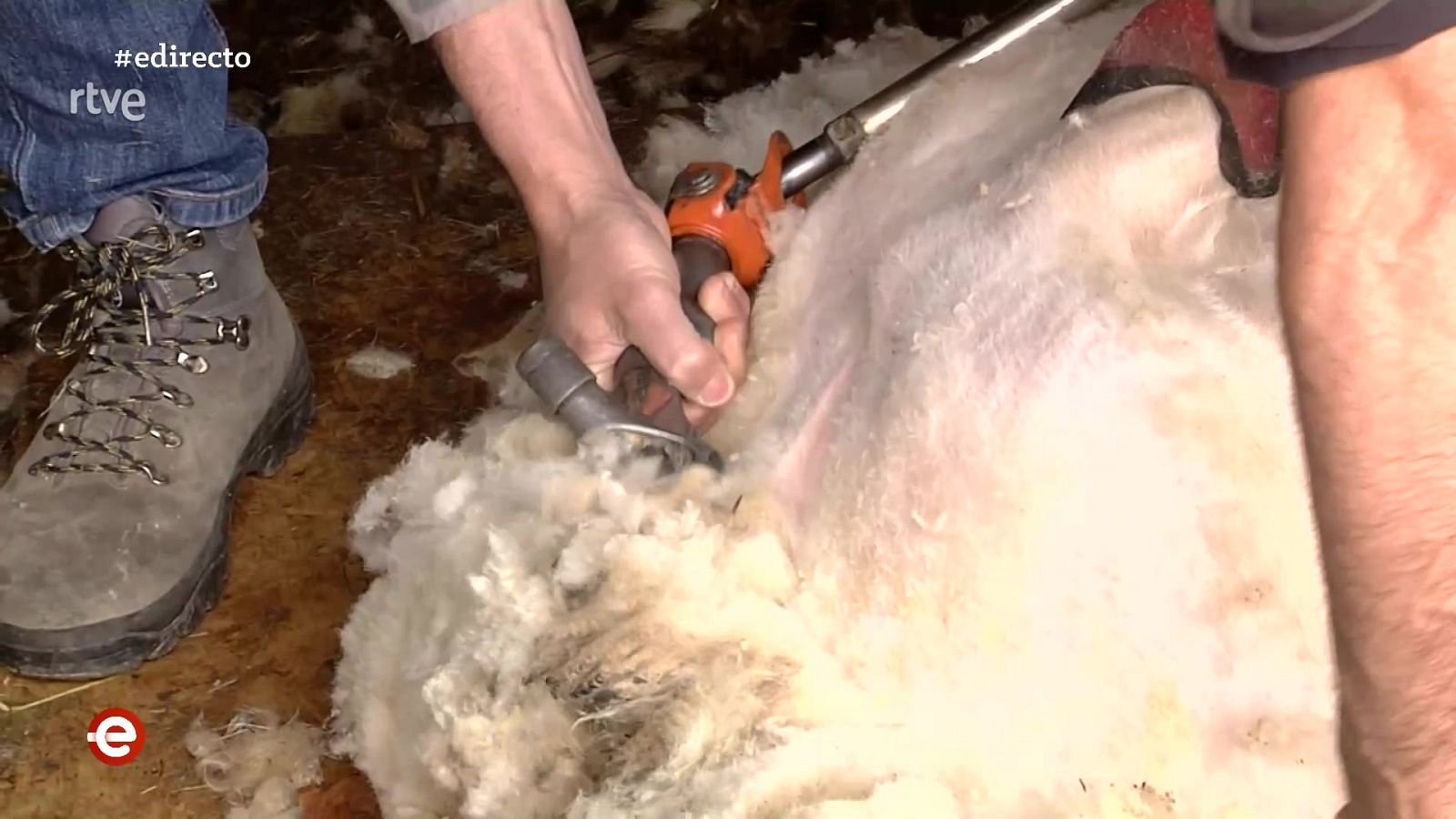 España Directo - 08/04/21 - ver ahora