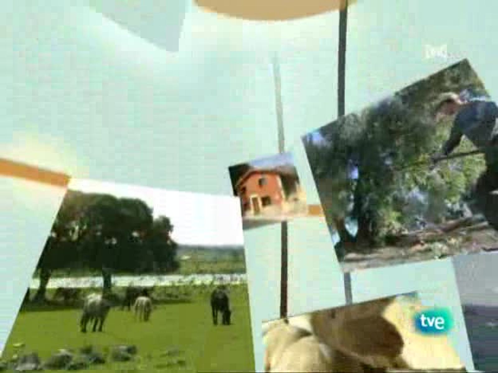 Agrosfera - 12/09/09 - Agrosfera | Ver