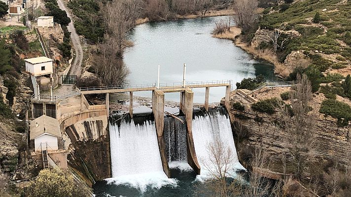 El escarabajo verde - El agua en la balanza