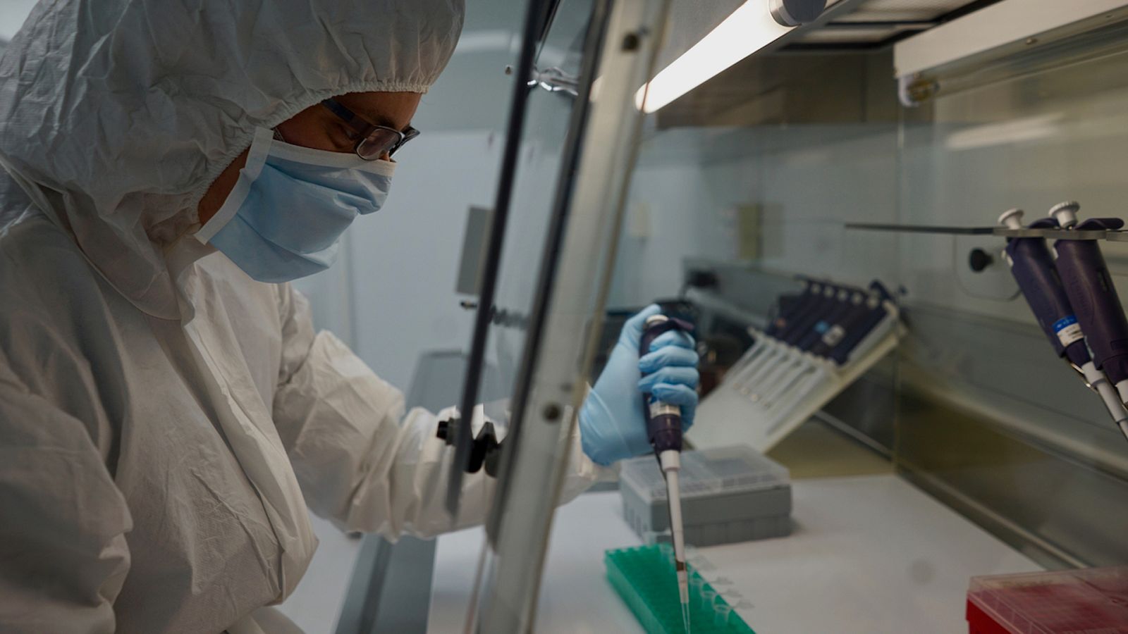 Documentos TV - Secretos en nuestro ADN - Ver ahora