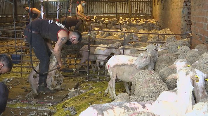 Agrosfera - Agrosfera - 10/04/21