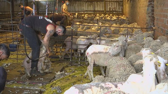 Agrosfera - Agrosfera - 10/04/21