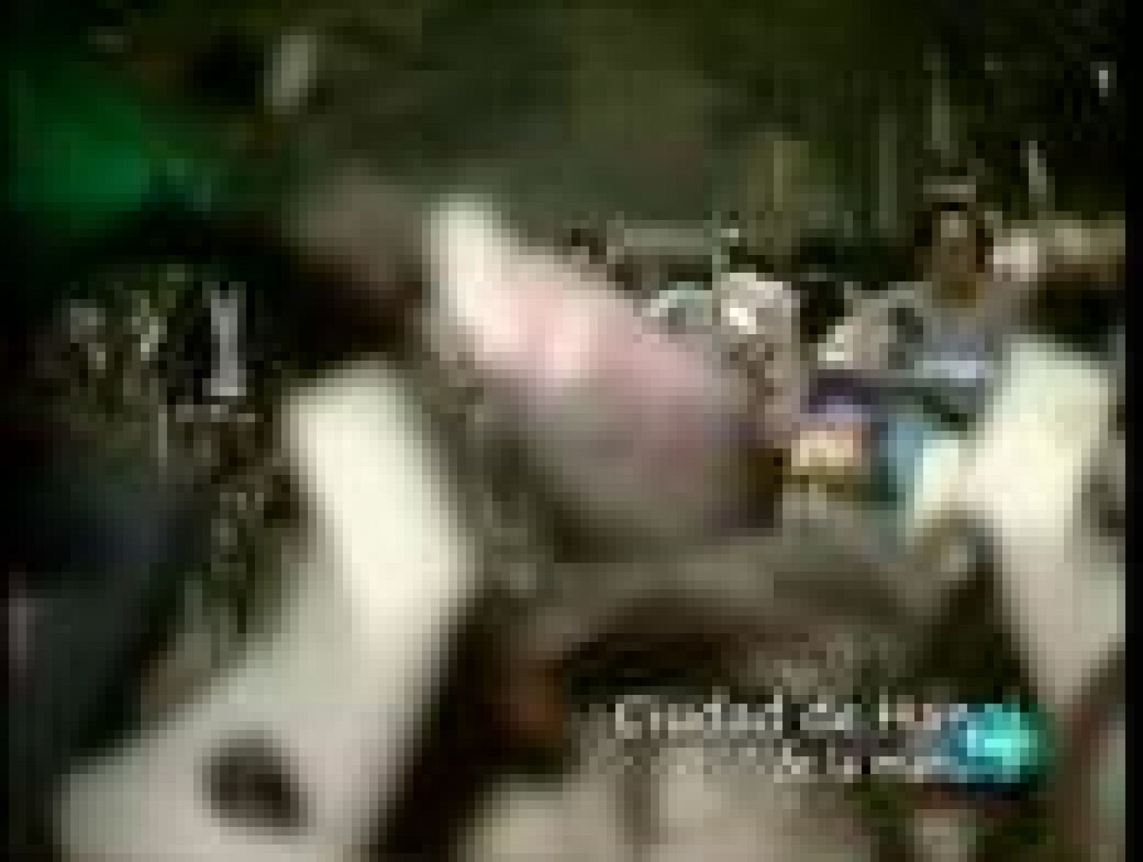 Vietnam, vida tras la muerte - Manjar de dioses 1 - Vietnam, vida tras la muerte | Ver