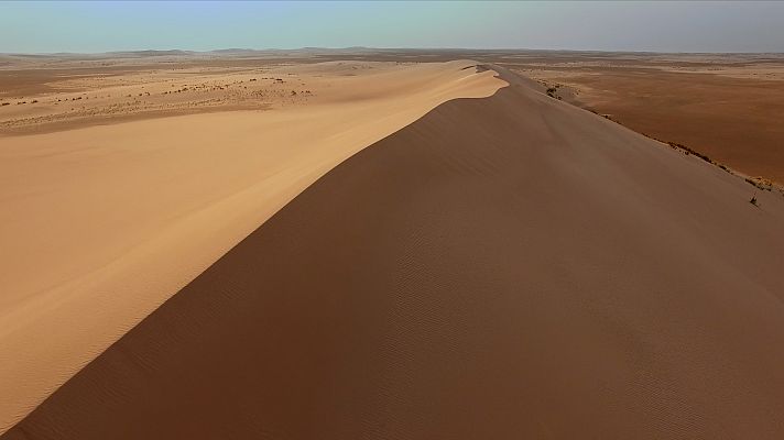 El año de la naturaleza canadiense - Verano