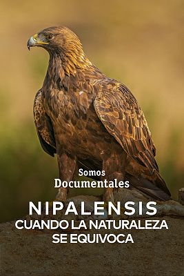 Nipalensis, cuando la naturaleza se equivoca