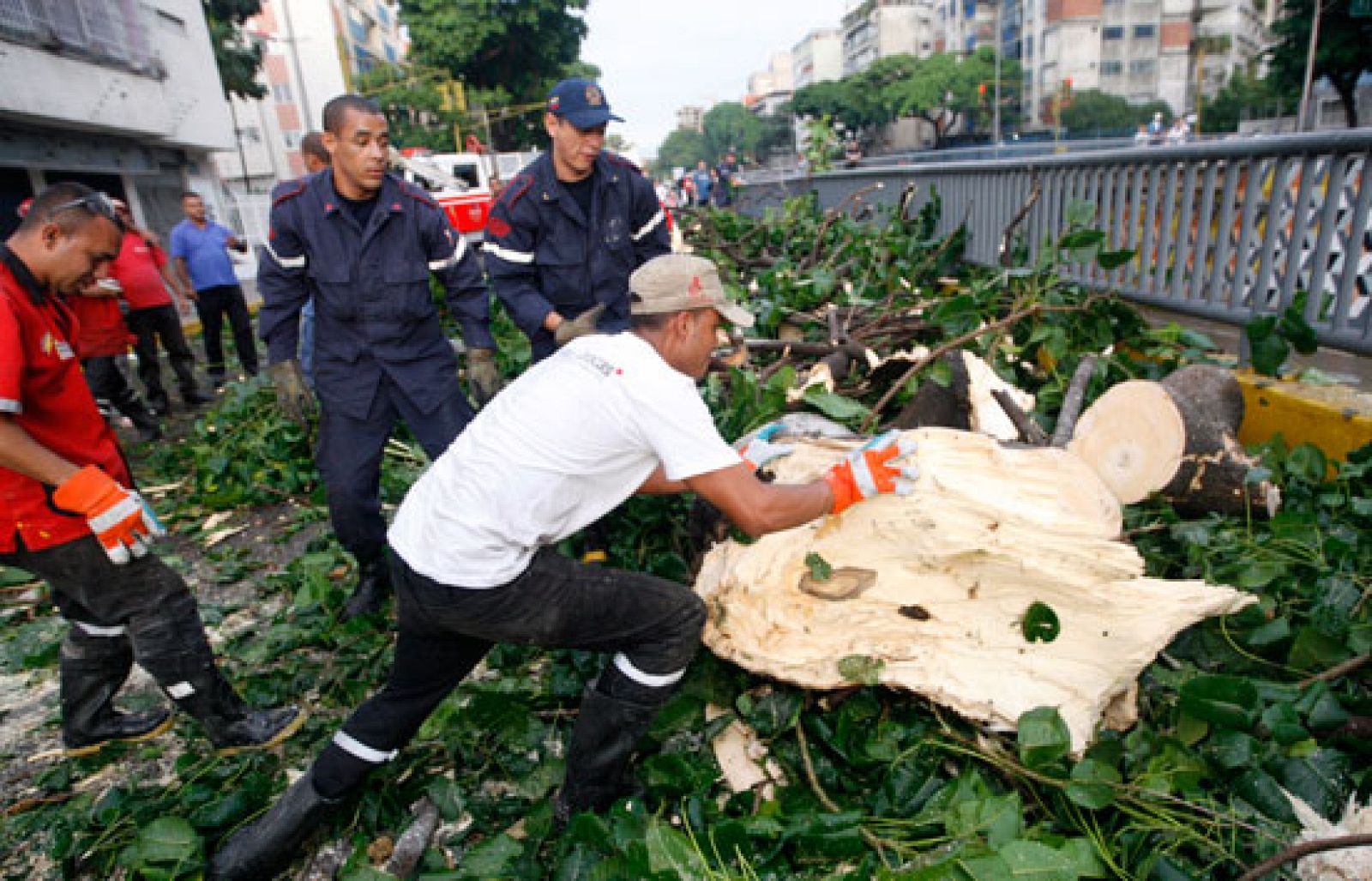 Nueva York marca tendencia