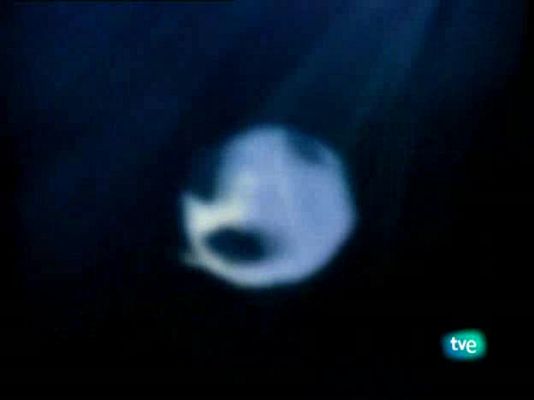 Los guardianes del planeta - Lágrimas de cocodrilo