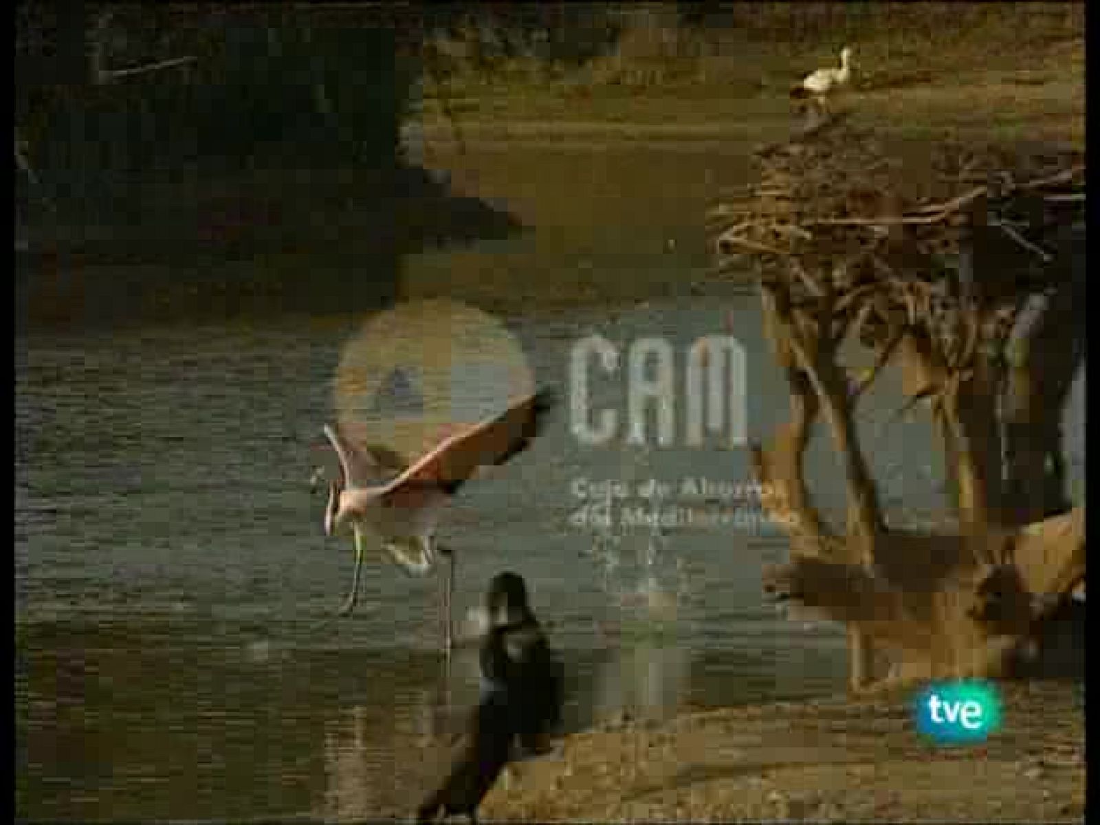 Guardianes de hábitat - Programa presentación - Guardianes de hábitat | Ver