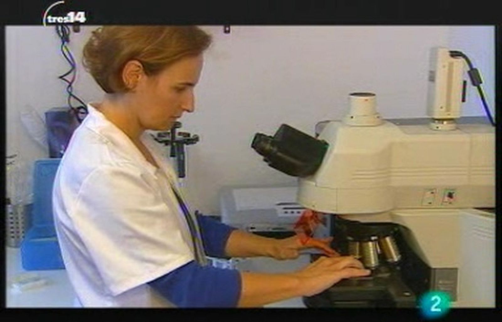 Medicamentos del mar (bajo el agua)