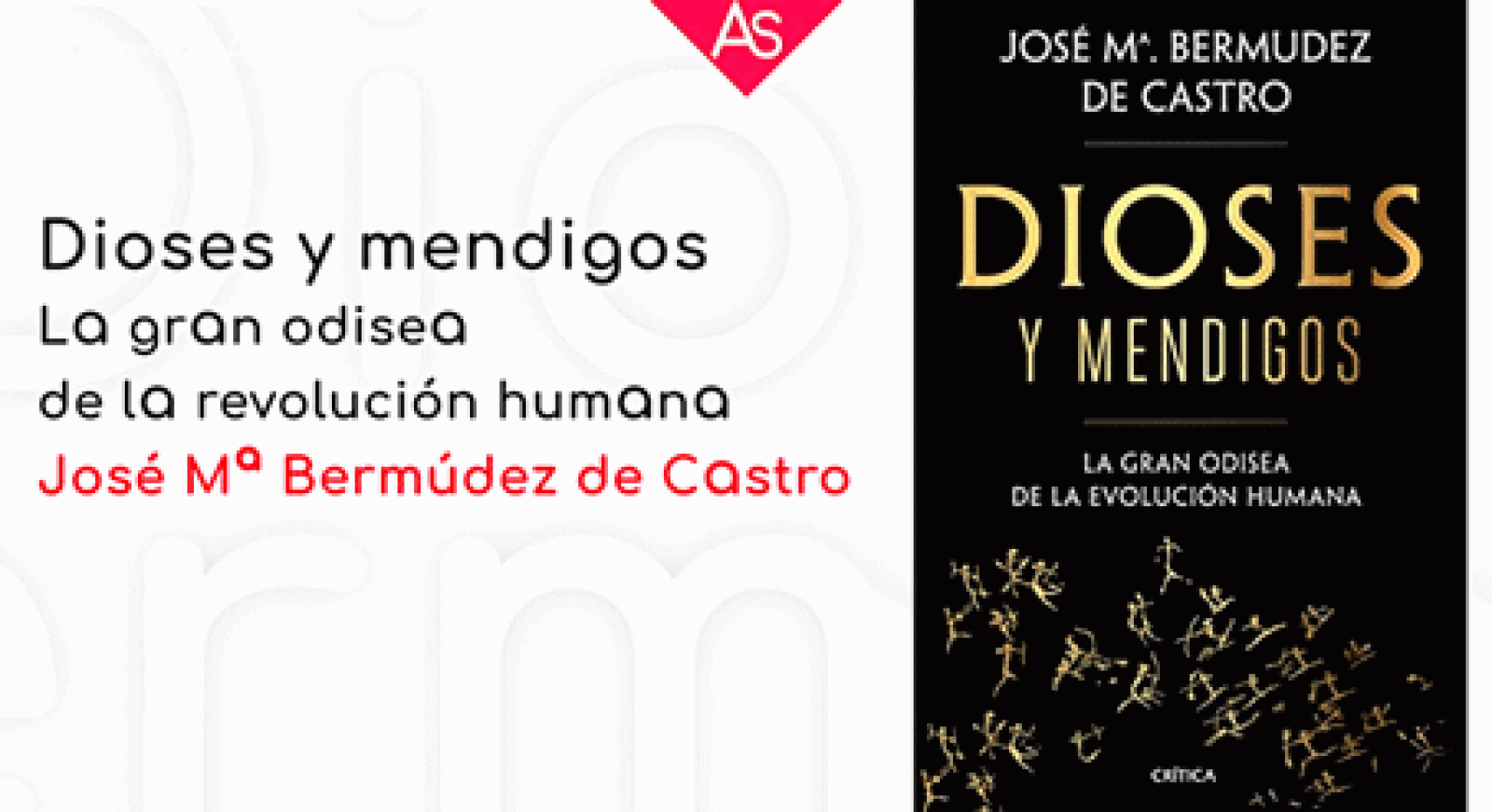 La aventura del saber Dioses y mendigos la gran odisea de la evolucion humana paleontologia #AventuraSaberLibros
