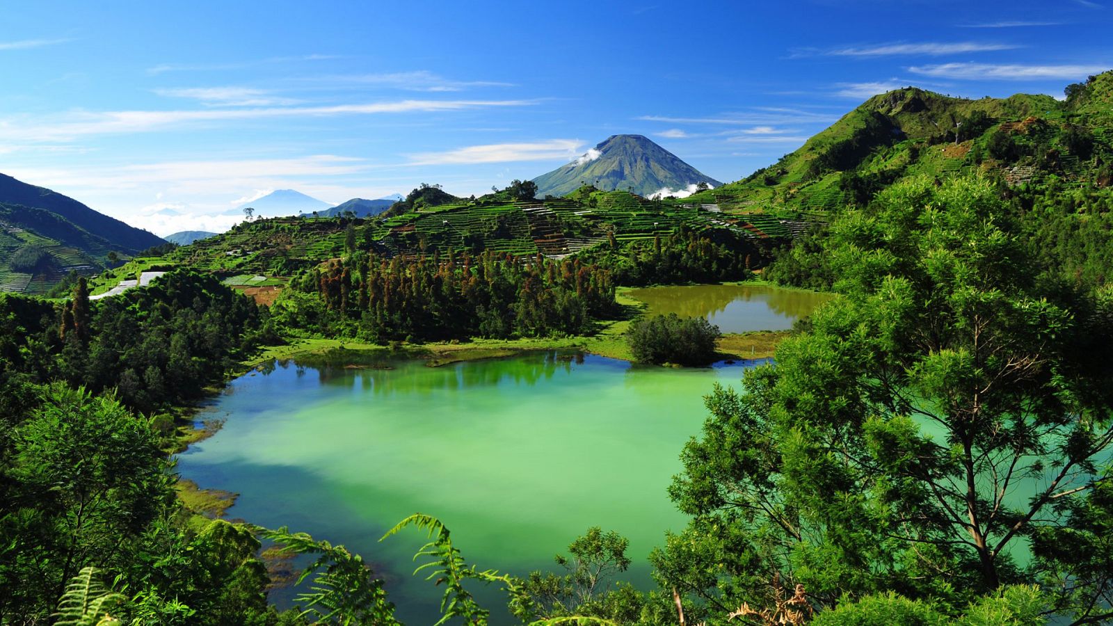 Descubrir - Java - Ver ahora