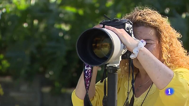 Primera mujer fotoperiodista de la agencia EFE    