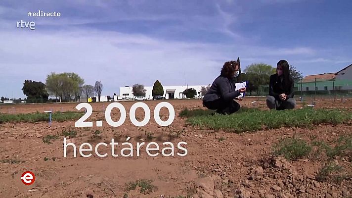 España Directo - España Directo - 14/04/21