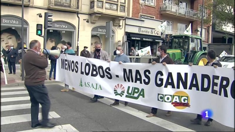 Los ganaderos de Zamora protestan por la protección del lobo