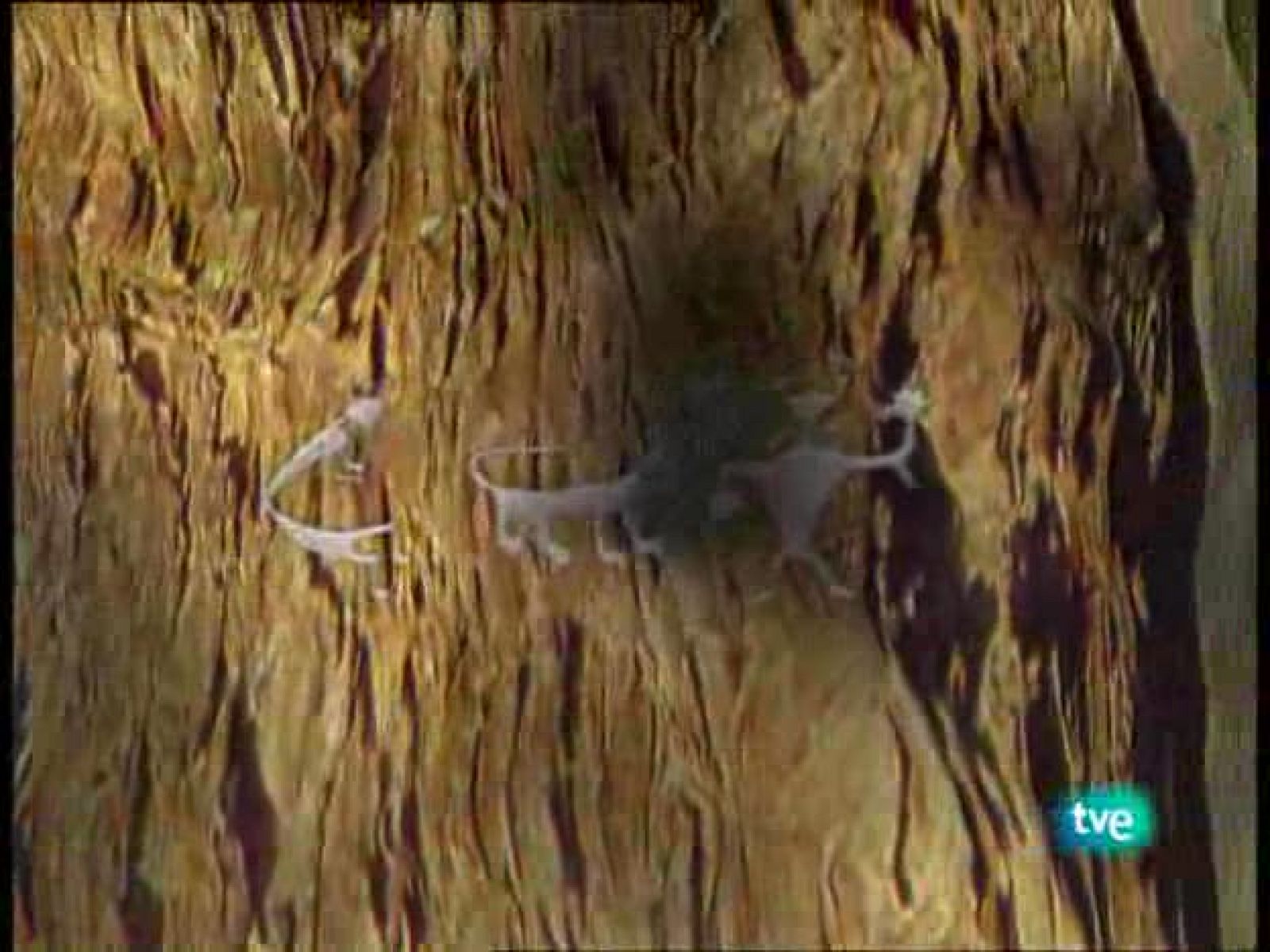 La ruta alternativa - Recuerdos de la Edad Media - La ruta alternativa | Ver