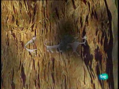 Recuerdos de la Edad Media