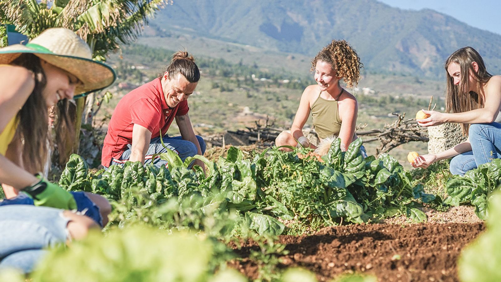 Erasmus rural, la nueva alternativa entre los estudiantes