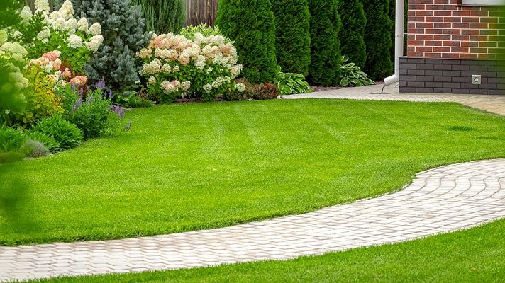 Aquí la Tierra - ¿Qué es el paisajismo?