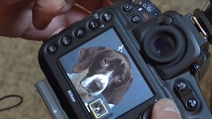 Joao Acevedo, el mejor amigo de los perros