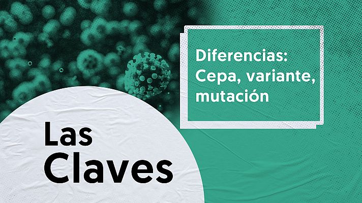  - #CLAVES | ¿Qué es una variante? ¿Qué riesgos supone? ¿Cómo afectan a las vacunas?