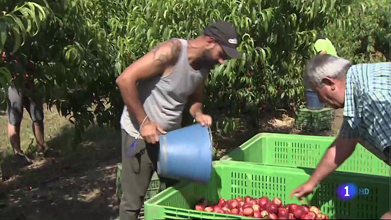 Vacunación para el sector primario - 16/04/2021