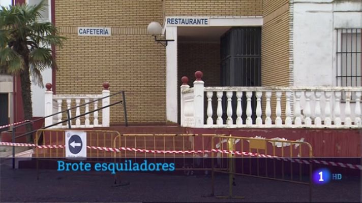 Noticias de Extremadura - Brote esquiladores