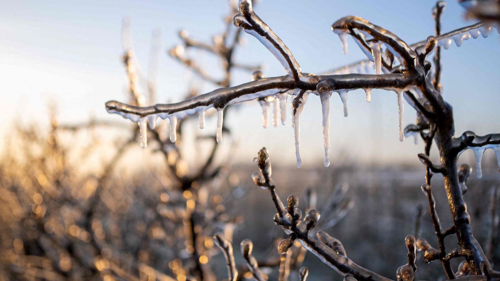 Bajada de las temperaturas mínimas en la península y Baleares - RTVE.es