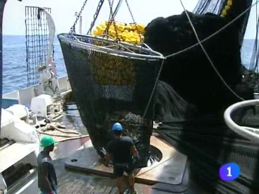 Telenorte - País Vasco - Telenorte-País Vasco - 15/09/09