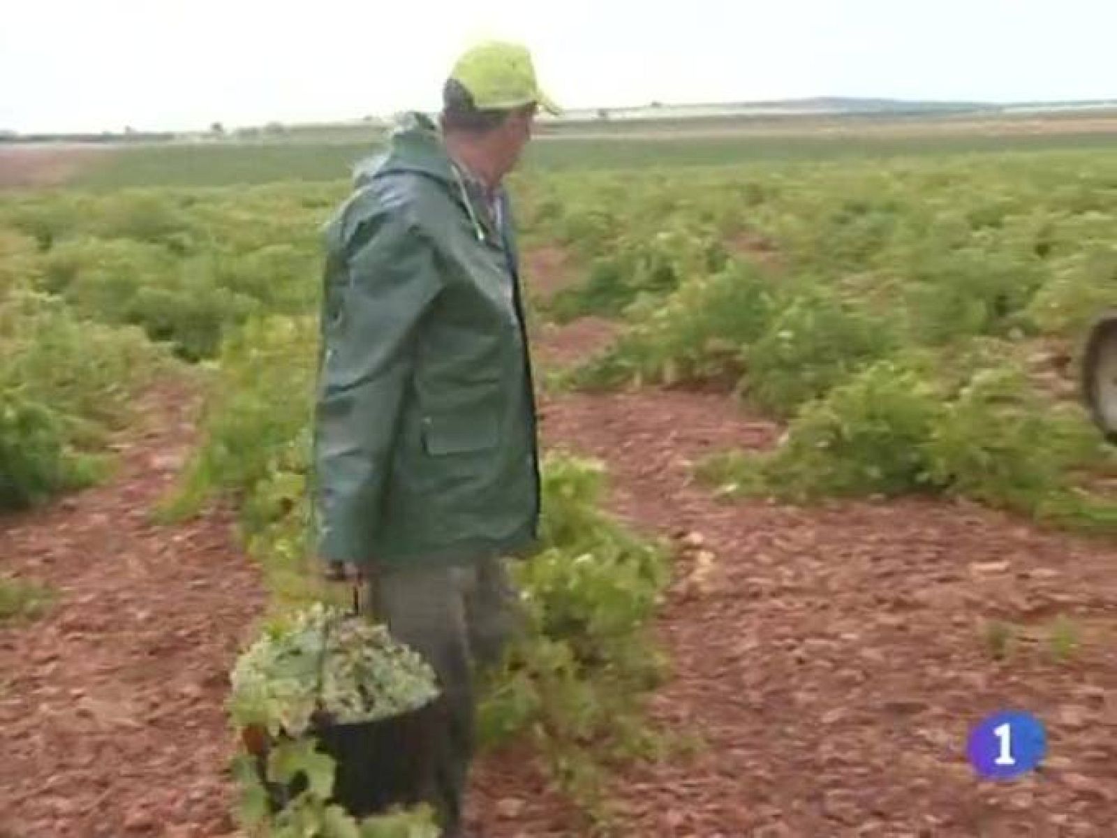 Noticias de Castilla La Mancha. Informativo de Castilla La Mancha. (15/09/09).