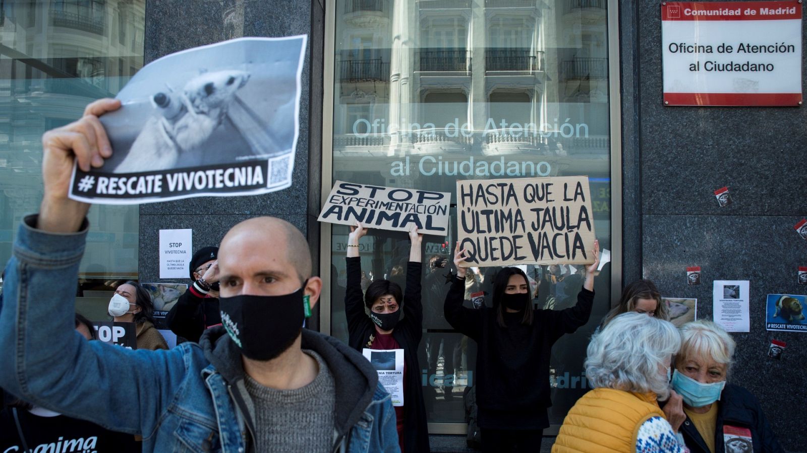 Varias asociaciones animalistas piden que liberen cuanto antes a los animales de Vivotecnia