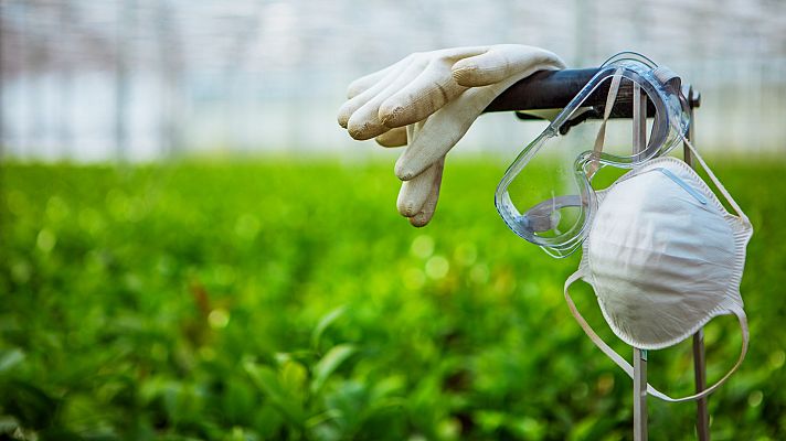 Telediario 1 - Incertidumbre entre los temporeros ante el avance de la pandemia